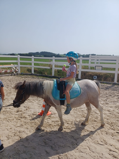 Rund ums Pony!