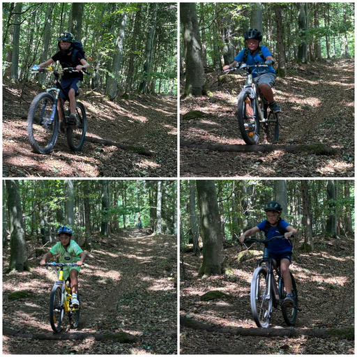 Einführung Singletrail