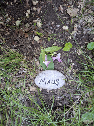Abenteuer Wald Werkstatt