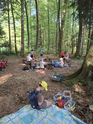 Abenteuer Wald Werkstatt