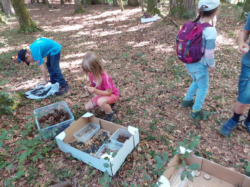 WWW Werken und Wirken im Wald