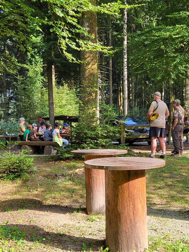 Ein Pirschgang mit dem Jäger