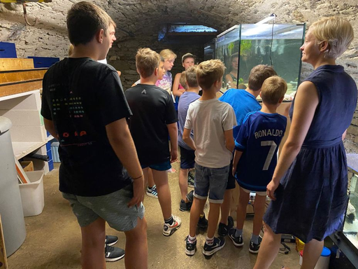 Einblick in die Aquarienwelt - Kurs 1