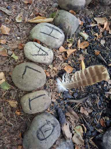 Abenteuer Wald Werkstatt