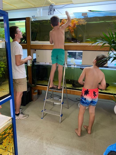 Einblick in die Aquarienwelt - Kurs 1