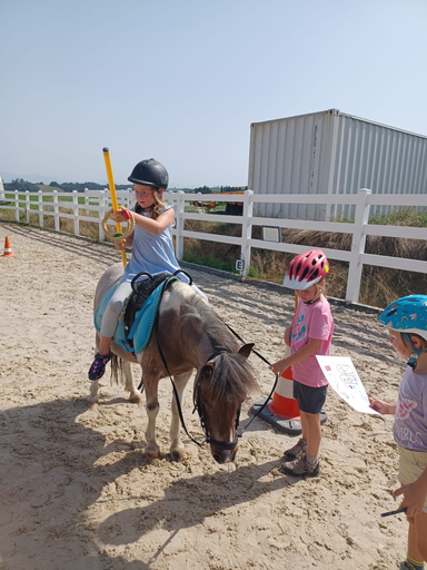 Rund ums Pony!