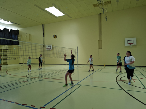 Ballspiele in der Halle