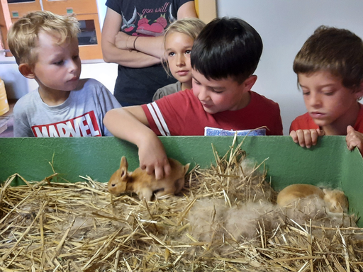 Besuch beim Kaninchenzüchter - Gruppe 2