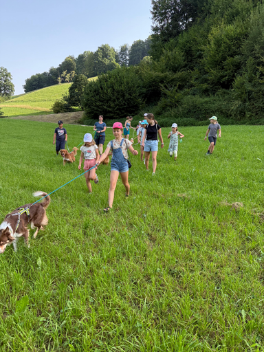 Rund um den Hund