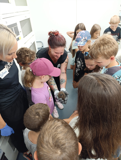 Besuch in der Igelhilfe in der Stiftung Satis in Seon