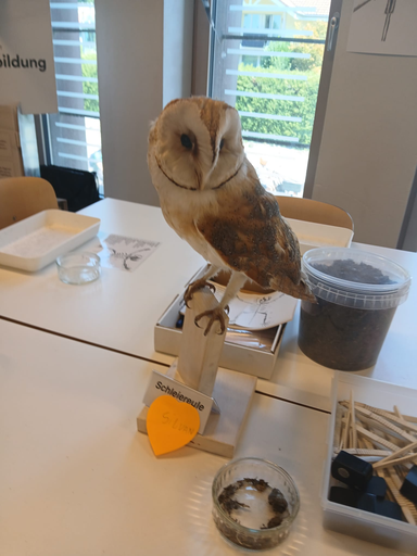 Erforsche die Vogelwelt