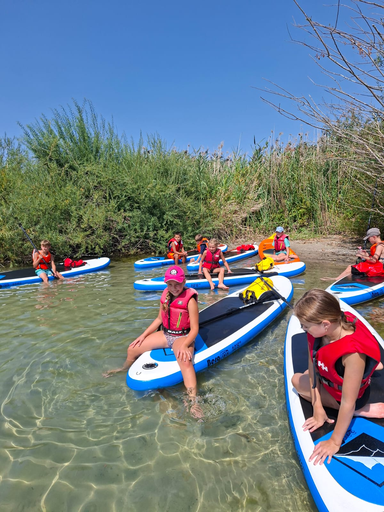 Standup Paddling