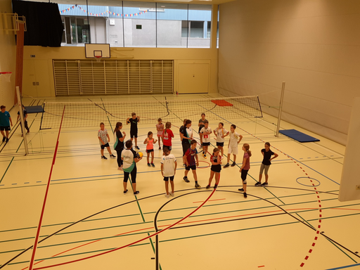 Ballspiele in der Halle