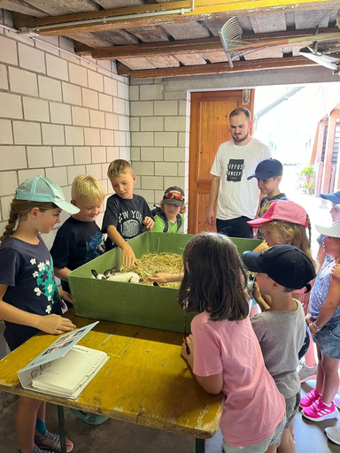 Besuch beim Kaninchenzüchter