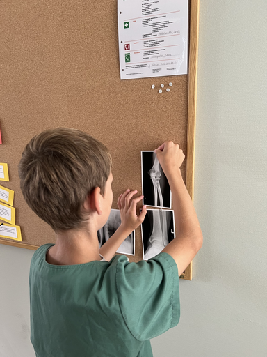 Notfallpraxis Medarium in Sursee