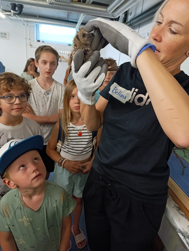 Besuch in der Igelhilfe in der Stiftung Satis in Seon