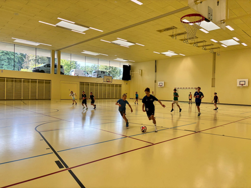 Ballspiele in der Halle