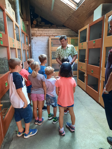 Besuch beim Kaninchenzüchter - Gruppe 2