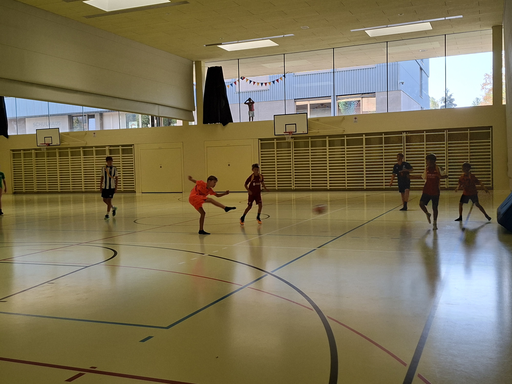 Ballspiele in der Halle