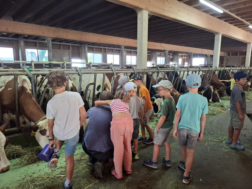 Auf dem Bauernhof - Kurs 1