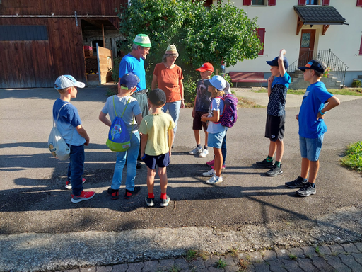 Faszination der Bienen