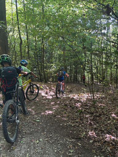 Einführung Singletrail