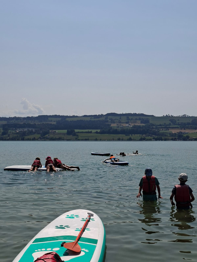 Standup Paddling