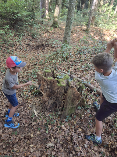 Abenteuer Wald Werkstatt