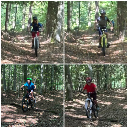 Einführung Singletrail