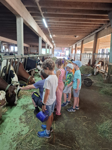 Auf dem Bauernhof - Kurs 1