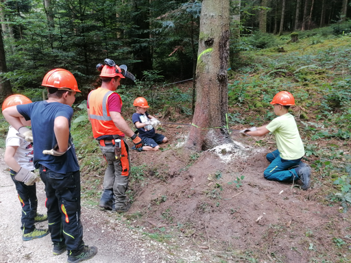 Baum fällen mit dem Förster