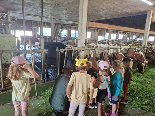 Auf dem Bauernhof - Kurs 2
