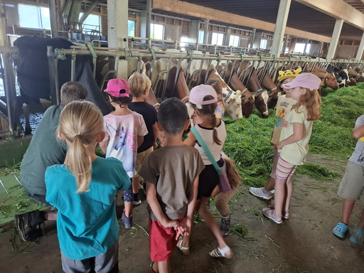 Auf dem Bauernhof - Kurs 2
