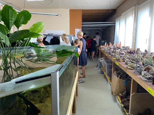 Einblick in die Aquarienwelt - Kurs 1