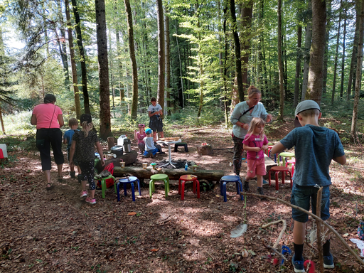 WWW Werken und Wirken im Wald