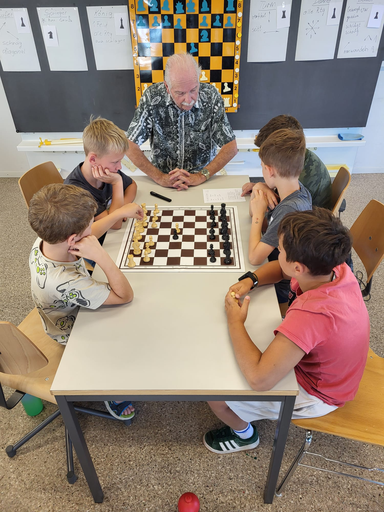 Das Schachspiel lernen