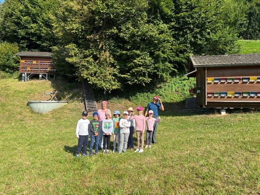 Faszination der Bienen