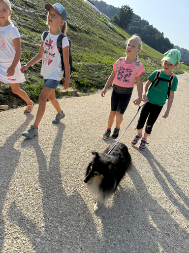Rund um den Hund