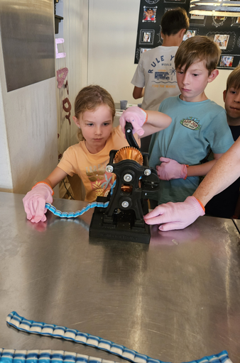 Bonbon & Lolliworkshop