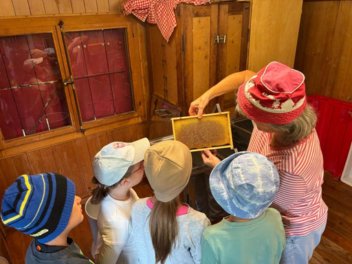 Faszination der Bienen