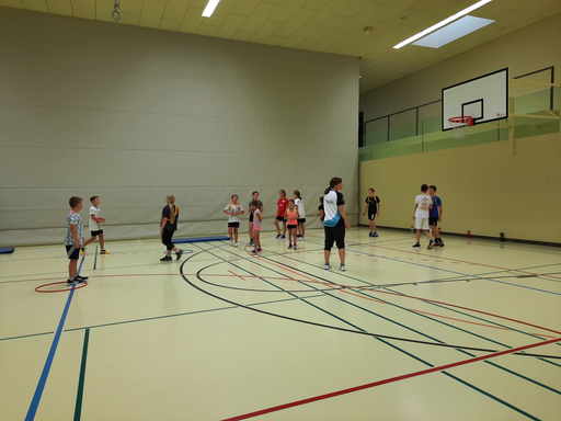 Ballspiele in der Halle