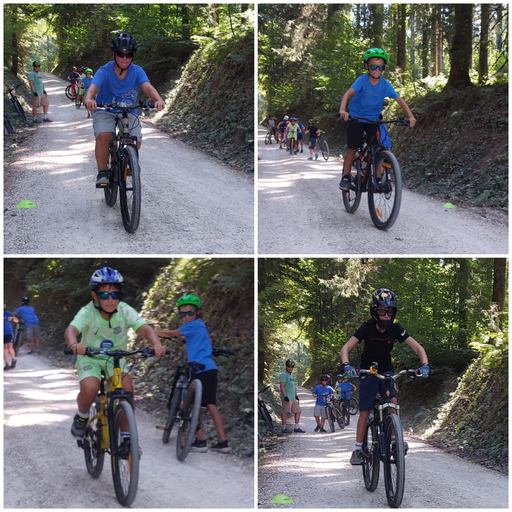Einführung Singletrail
