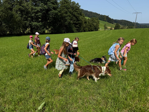 Rund um den Hund