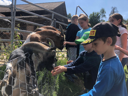 Erlebnisspass auf dem Bauernhof Gruppe 2