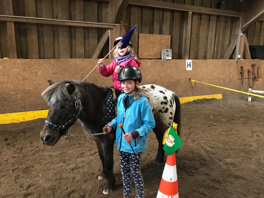 Auf Alten Pferden Lernt Man Reiten