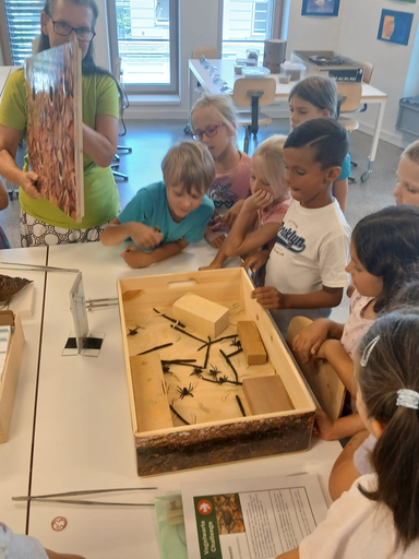 Erforsche die Vogelwelt