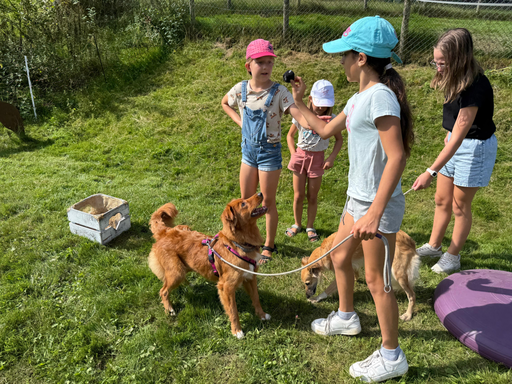 Rund um den Hund