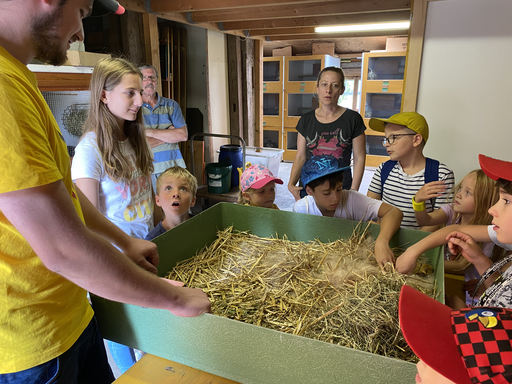 Besuch beim Kaninchenzüchter - Gruppe 1