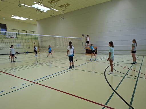 Ballspiele in der Halle
