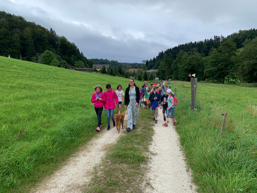 Rund um den Hund Gruppe 1